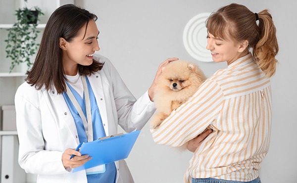 What does 'transparency' mean for my practice?
