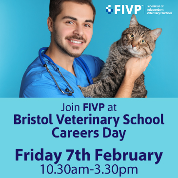 FIVP ready for Bristol Veterinary School, Friday 7th February