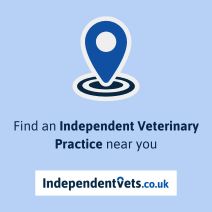 Find an independent Veterinary Practice near you.

IndependentVets.co.uk