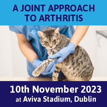 A Joint Approach to Arthritis: exclusive 10% discount