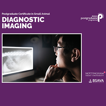 BSAVA Diagnostic Imaging Course: exclusive FIVP Discount