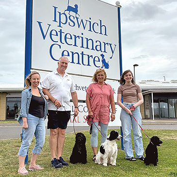 Abandoned puppies rescued by Stowe Veterinary Group