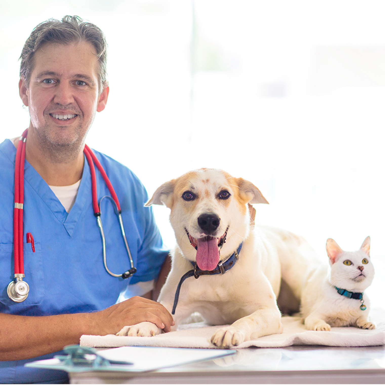 Perfecting your Pet Health Plan