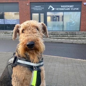 Westport Vets opens its fourth branch in Scotland