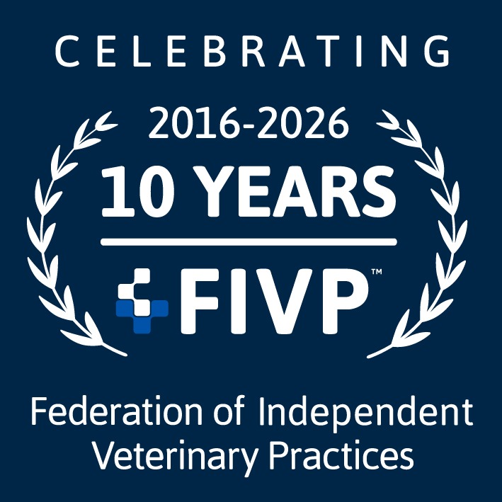 FIVP marks a decade of supporting independent practices