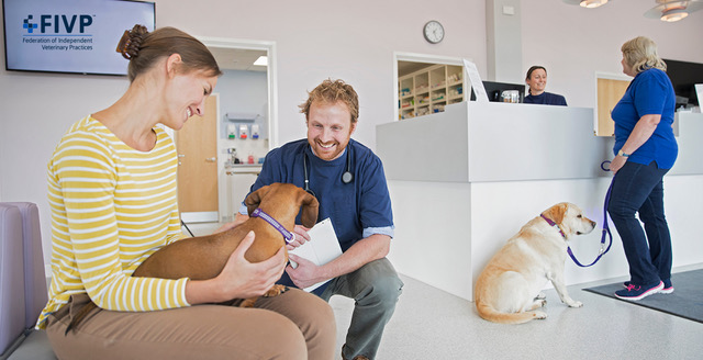 A vet kneels beside a woman holding a dog in a clinic waiting area, while another woman with a dog stands at the reception desk. The image is to illustrate the article about the upcoming CMA reforms
