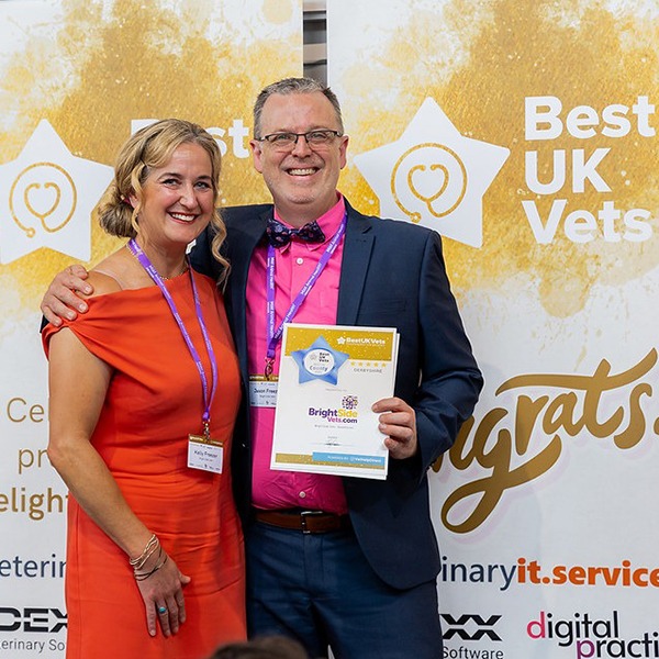 FIVP members celebrate BestUKVets Awards success