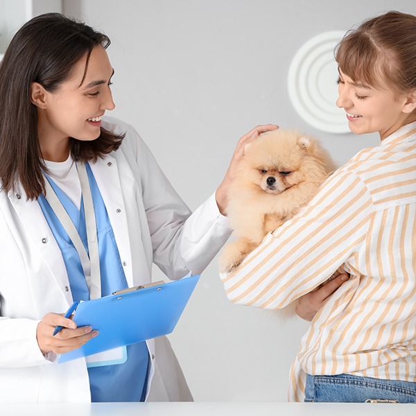 CMA: What does ‘transparency’ mean for my practice?